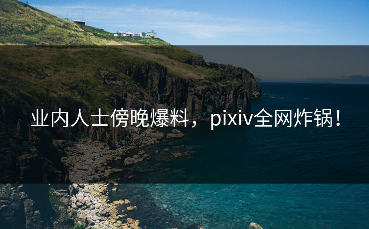 业内人士傍晚爆料，pixiv全网炸锅！