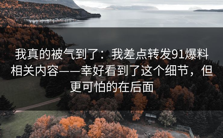 我真的被气到了：我差点转发91爆料相关内容——幸好看到了这个细节，但更可怕的在后面