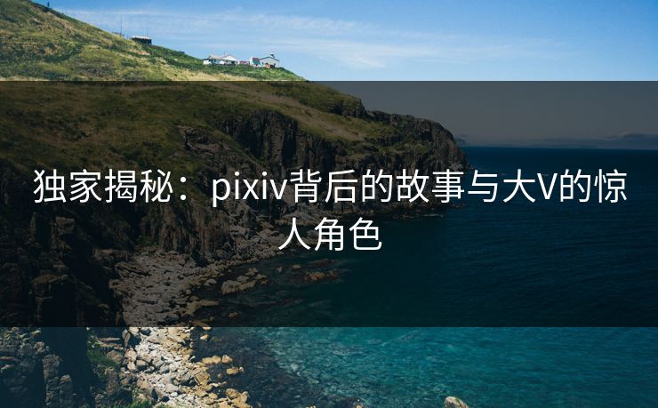 独家揭秘：pixiv背后的故事与大V的惊人角色