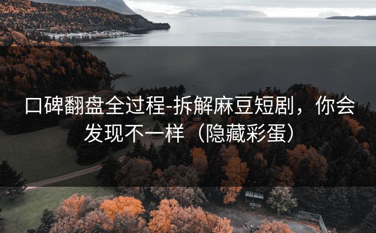 口碑翻盘全过程-拆解麻豆短剧，你会发现不一样（隐藏彩蛋）